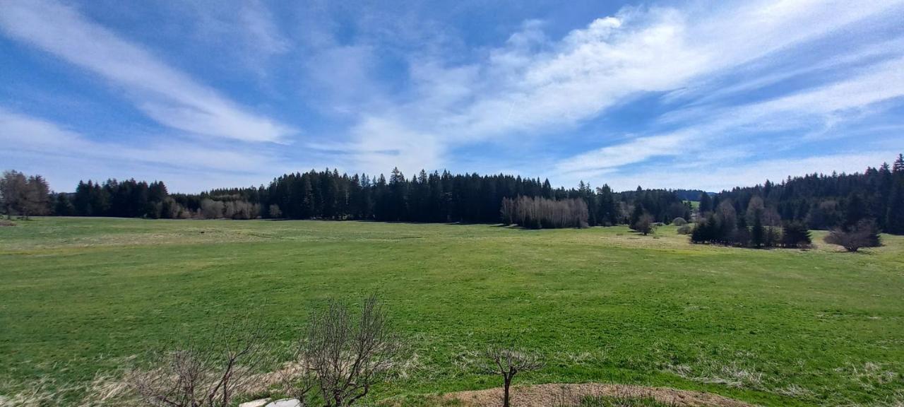 Apartman V Jame Černá v Pošumaví Eksteriør bilde